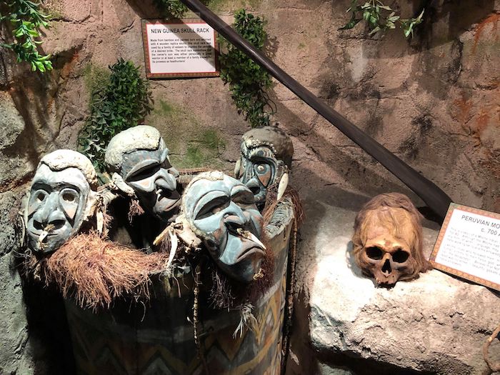 Tribal Artifacts Ripley's Blackpool 