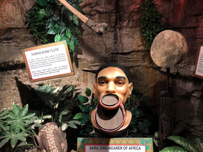 Tribal Bone Flute Ripley's Blackpool 