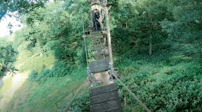 Rope Bridge Treetops Adventure