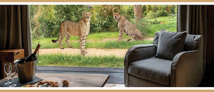 Cheetah Lodge West Midland Safari Park
