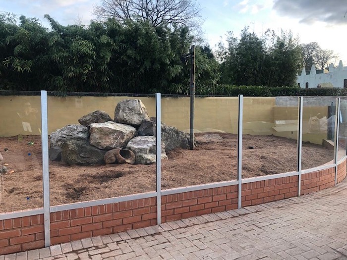 Meetkat Enclosure Drayton Manor