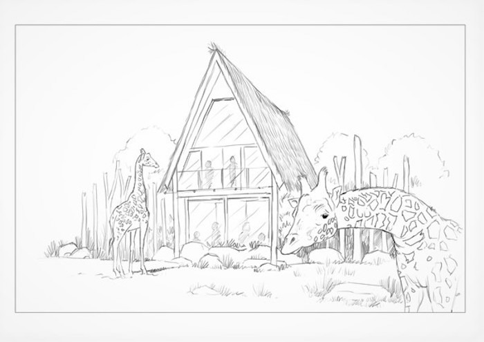 Giraffe Lodges West Midland Safari Park