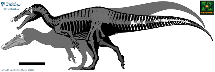 Spinosaurus
