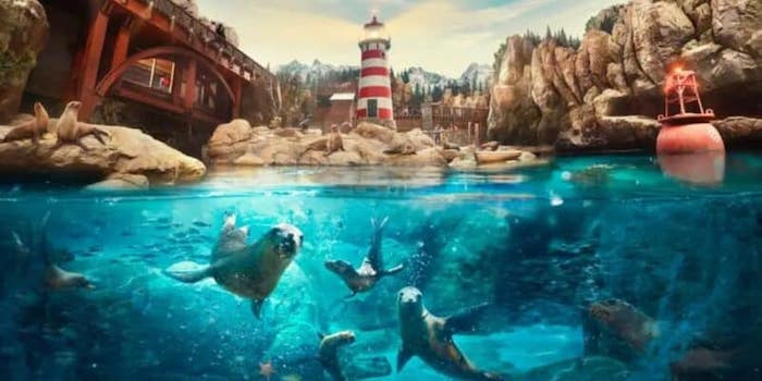 Seaworld Rocky Point