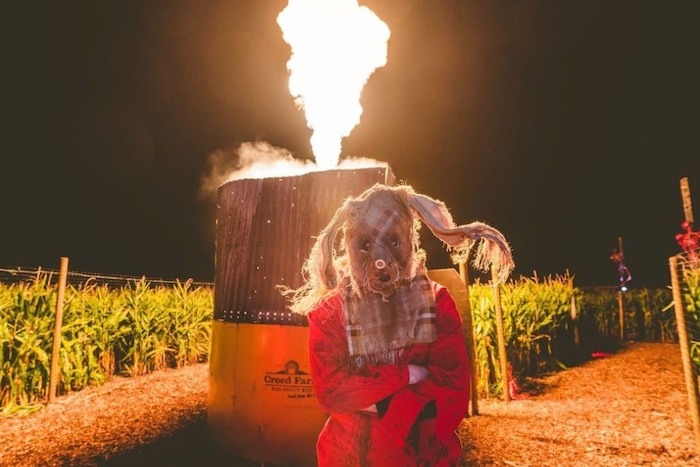 Screamfest Experience