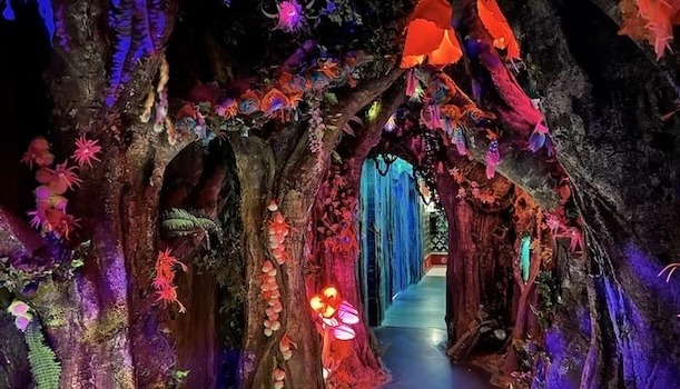 Wake The Tiger Expansion