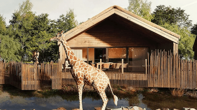 Chester Zoo Luxury Lodges