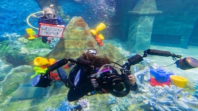 Deep Sea Adventure Reopens