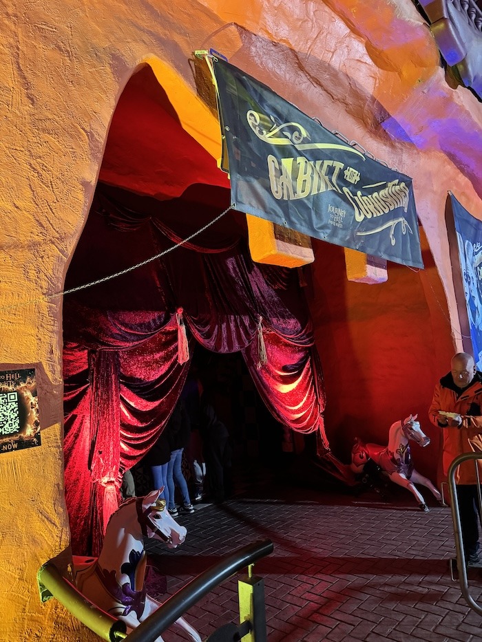 Cabinet of Curiosities