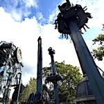 Hoogmoed Review
